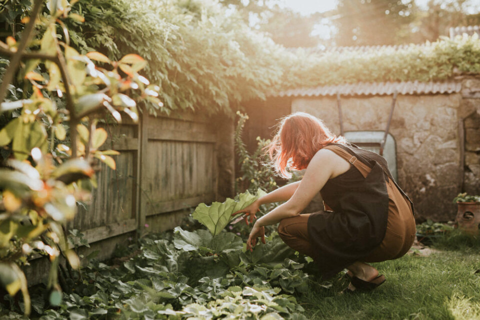 een vrouw die in de tuin werkt