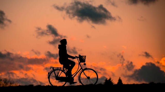 Nederland staat bekend om zijn prachtige landschappen, schilderachtige dorpjes en uitgestrekte fietspaden. Of je nu een fanatieke fietser bent of gewoon op zoek bent naar een ontspannen ritje in de natuur, Nederland heeft voor ieder wat wils. In deze blog delen we vijf leuke fietstochten door Nederland die je niet mag missen. En het beste van alles? Je kunt genieten van deze ritten terwijl je gebruik maakt van de handige track and trace voor je fiets altijd in de gaten te houden.
5 Leuke fietstochten door Nederland
Hieronder bespreken we 5 leuke fietstochten door Nederland
De Veluwe
De Veluwe, gelegen in de provincies Gelderland en Utrecht, is een van de meest geliefde natuurgebieden van Nederland. Met uitgestrekte bossen, heidevelden en zandverstuivingen is het de perfecte bestemming voor een fietstocht. Volg de vele fietspaden door het nationale park en geniet van adembenemende uitzichten. Vergeet niet om af en toe te stoppen en te genieten van de rust en stilte om je heen. Met de track and trace functie hoef je je geen zorgen te maken over de locatie van je fiets, zodat je optimaal kunt genieten van deze prachtige omgeving.
De Zaanse Schans 
Fiets langs de historische molens en pittoreske huisjes van de Zaanse Schans en waan je even terug in de tijd. Deze unieke openluchtmuseum biedt een fascinerend kijkje in het verleden van Nederland. Fiets langs de oevers van de rivier de Zaan en bewonder de prachtige architectuur en ambachtelijke winkeltjes. Met de track and trace functie kun je met een gerust hart je fiets achterlaten terwijl je geniet van alles wat de Zaanse Schans te bieden heeft.
De Waddeneilanden 
Ontdek de rust en schoonheid van de Waddeneilanden tijdens een fietsavontuur langs de kust. Van Texel tot Schiermonnikoog, elk eiland heeft zijn eigen charme en unieke landschappen om te verkennen. Fiets langs de duinen, stranden en pittoreske dorpjes en geniet van de frisse zeelucht en het geluid van de golven. Met de track and trace functie hoef je je geen zorgen te maken over het achterlaten van je fiets terwijl je de eilanden verkent.
De Betuwe 
In het voorjaar verandert de Betuwe in een kleurrijk spektakel wanneer de fruitbomen in bloei staan. Fiets langs de uitgestrekte boomgaarden en geniet van de prachtige bloesems en heerlijke geuren. Stop onderweg bij een lokale fruitkraam voor verse appels, peren en kersen rechtstreeks van de boomgaard. Met de track and trace functie kun je zorgeloos genieten van deze schilderachtige fietstocht.
Amsterdam 
Ontdek de levendige straten en historische bezienswaardigheden van Amsterdam tijdens een ontspannen fietstocht door de stad. Fiets langs de schilderachtige grachten, historische gebouwen en gezellige pleinen en geniet van de bruisende sfeer van de hoofdstad. Stop onderweg bij een van de vele cafés of terrasjes voor een verfrissend drankje en een typisch Nederlands hapje. Met de track and trace functie kun je je fiets veilig achterlaten terwijl je de bezienswaardigheden van Amsterdam verkent.
leuke fietstochten nederland track an dtrace fiets